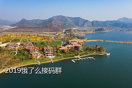 接码短信平台最新