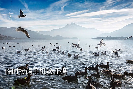 接短信验证码虚拟号码