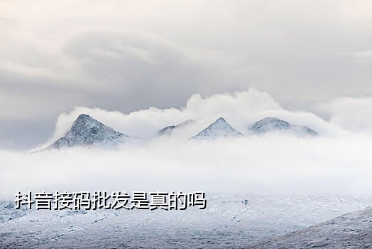 好用的短信接码平台