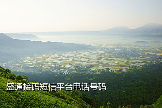 国内接码短信