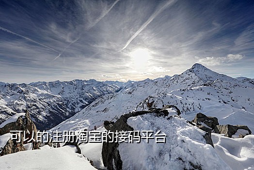 国内短信接码平台有哪些