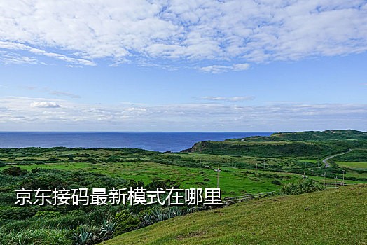 共享云短信接码平台官网