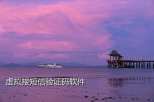 法国手机号接码平台