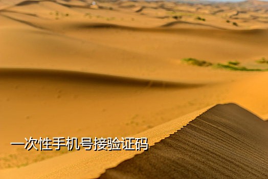 短信接码注册机自动