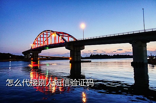 短信接码新人号什么渠道有