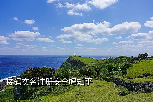 短信接码网站有哪些