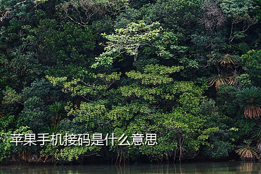 短信接码是干什么的