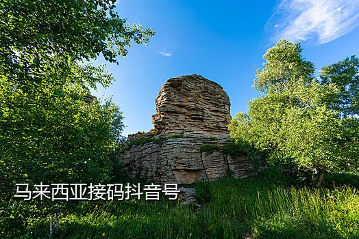 抖音小号接码接码教程