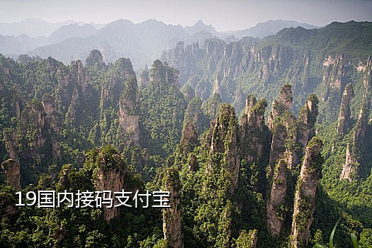 抖音接验证码平台大全