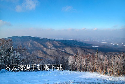 接码短信平台推荐