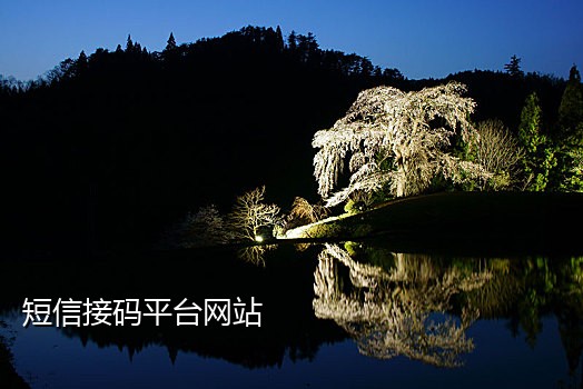 抖音接码有风险