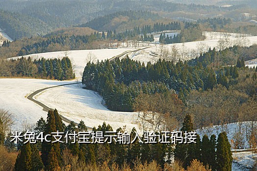 抖音接码业务怎么开通