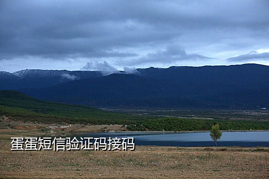 抖音接码的号都是哪里拿货