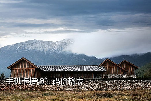 抖音接码app哪个好用