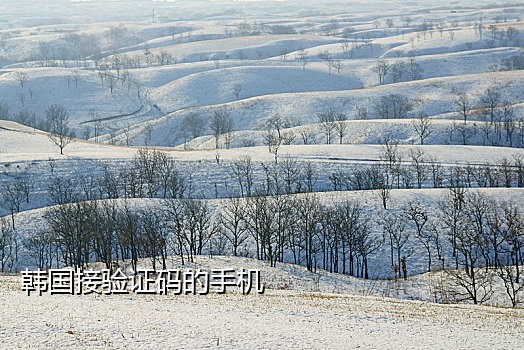 抖音号接不到验证码怎么登