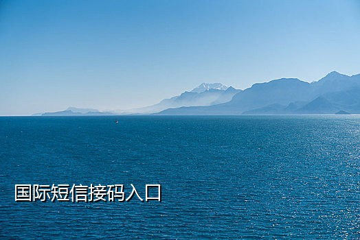手机自动生成接验证码平台