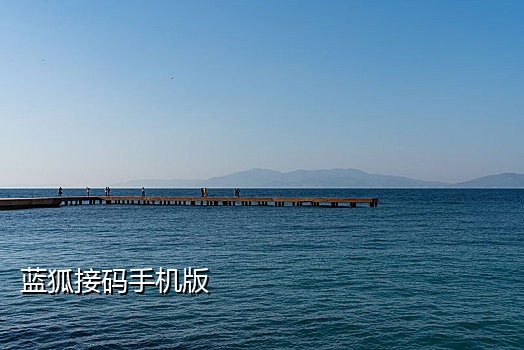 德克士接码什么意思