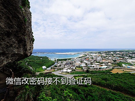 大麦云接码短信平台