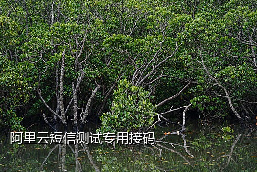 伴热带末端线头用接码