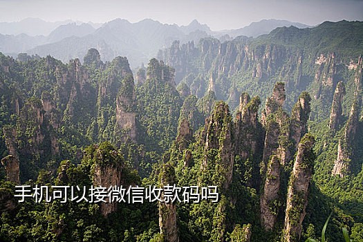 爱奇艺接码怎么弄