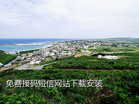 最新虚拟中国手机号接码