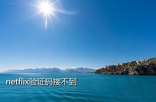 最新网页版接码平台