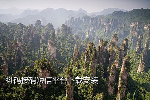 注册抖音靠谱的接码平台