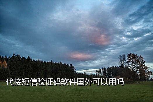 支付宝口碑接码平台怎么找