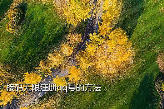 怎么用外国的手机号接验证码