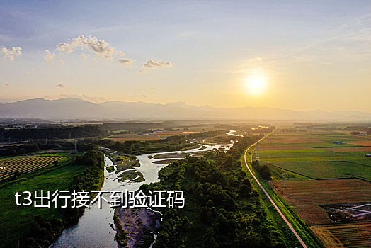 怎么让手机接不到验证码