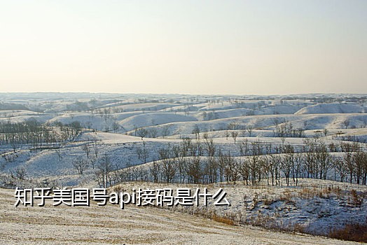 怎么接外国手机的验证码