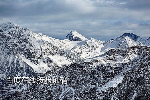 在线验证码接码短信平台是什么