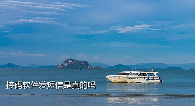 有没有注册微信的接码平台