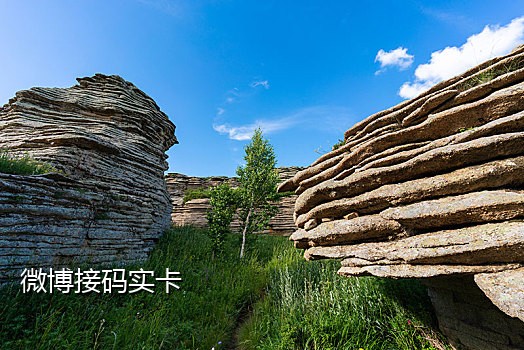 印度手机号接码平台