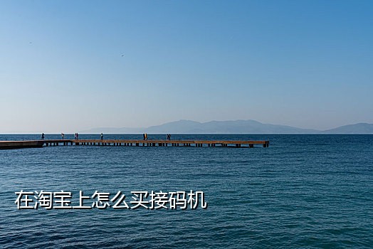 易码怎么接短信