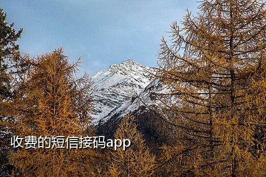 接抖音验证码的平台