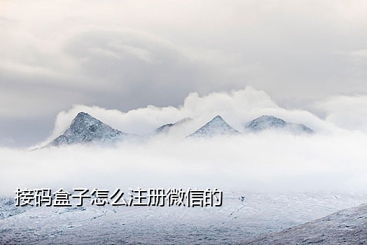 验证码接码短信平台源码