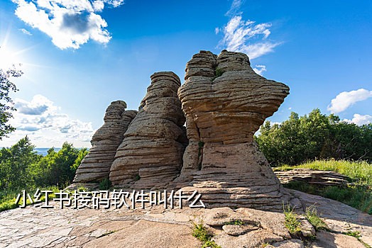 虚拟中国手机号接码