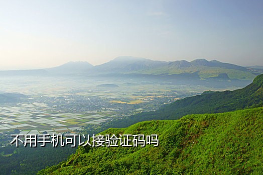 虚拟抖音号接码平台