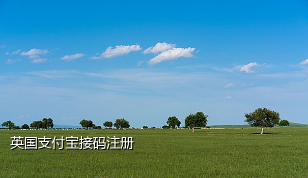 手机怎么接国外验证码