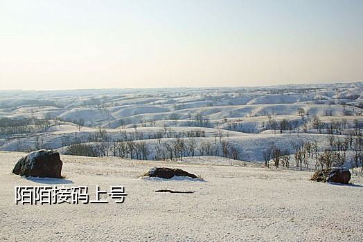 无高风险手机号接码