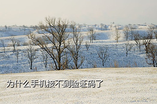 为什么手机接不到取件码