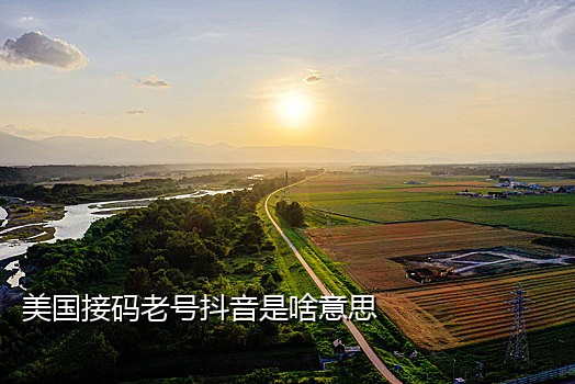 为什么别人有接码软件手机