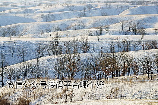 微信注册接码平台可以用吗