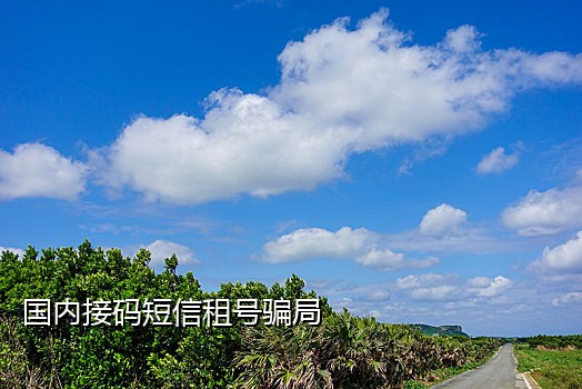 微信辅助接码赚钱吗