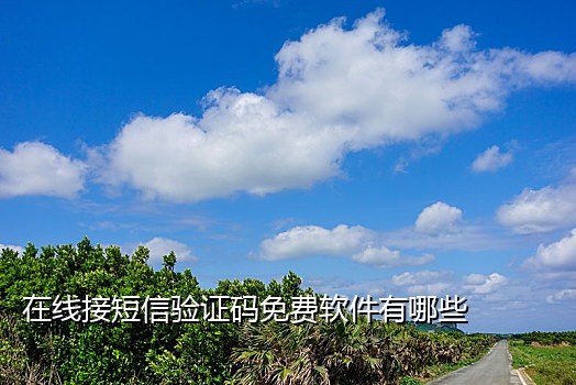 微信二维码接码平台