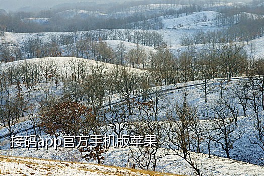 微信二维码接稿群怎么弄