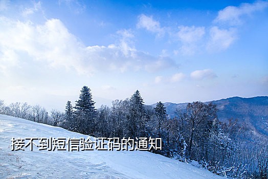 微信短信接码小程序