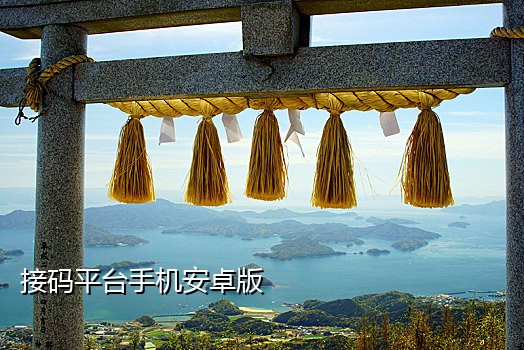 微信登陆怎么接码