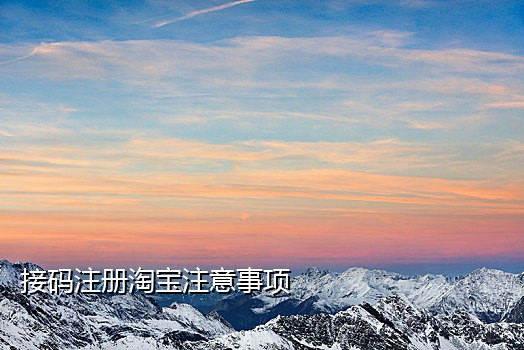 极码短信接码平台